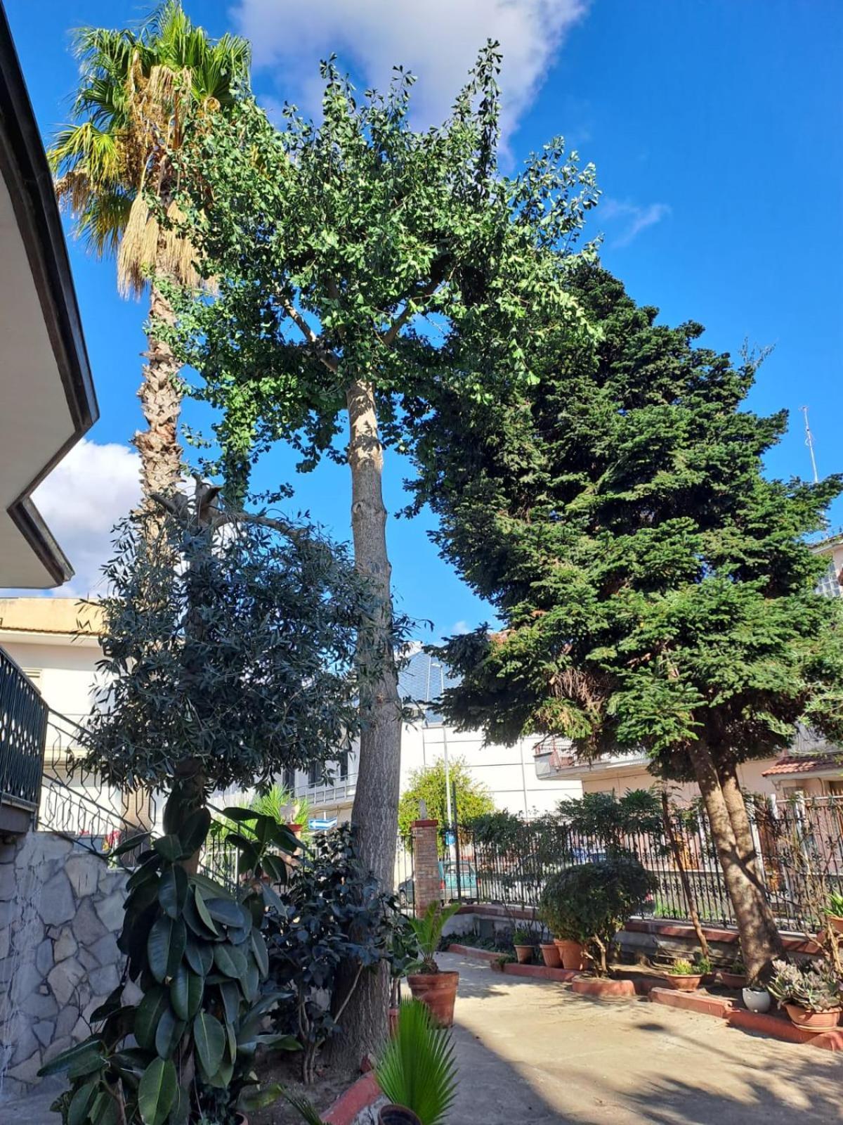 Apartmán A Casa Di Luigi 2 Mugnano di Napoli Exteriér fotografie